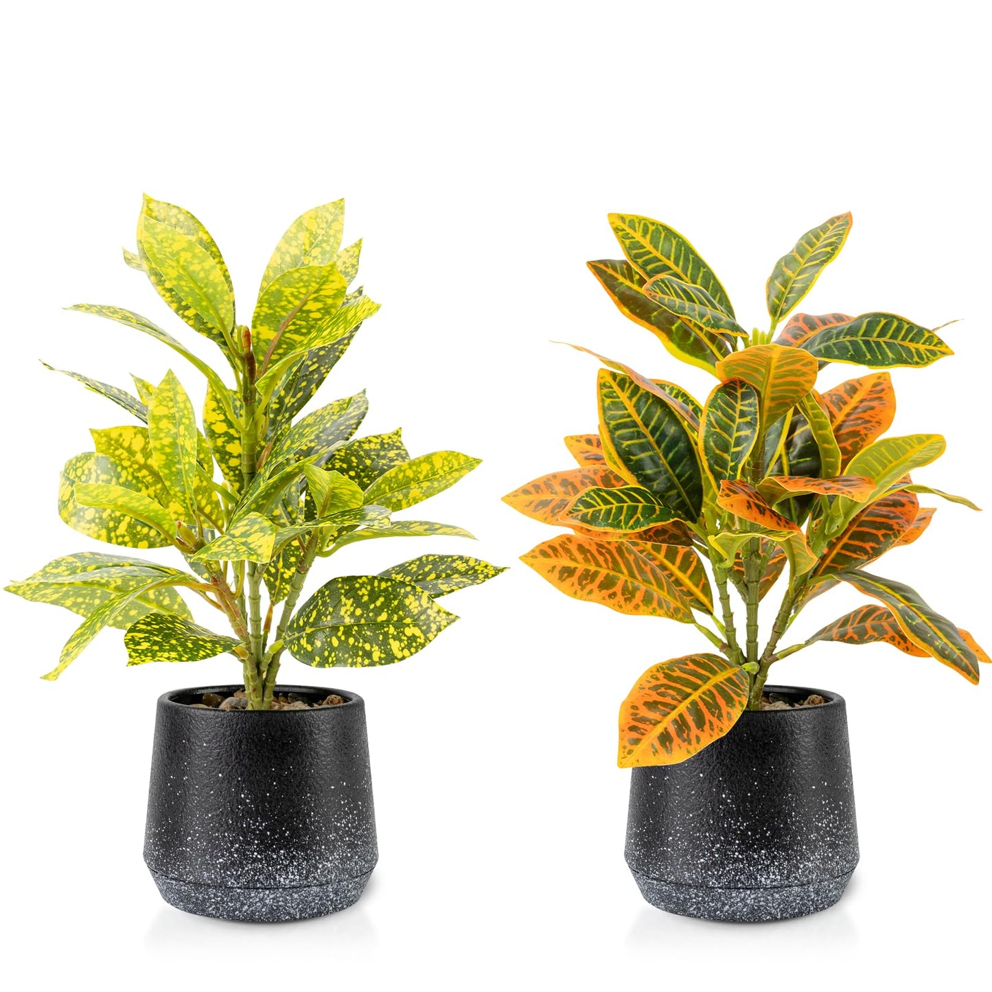 2 Pack Faux Peperomia Plants in Pots – 11" Small Artificial Greenery, Evergreen & Maintenance-Free for Home or Office