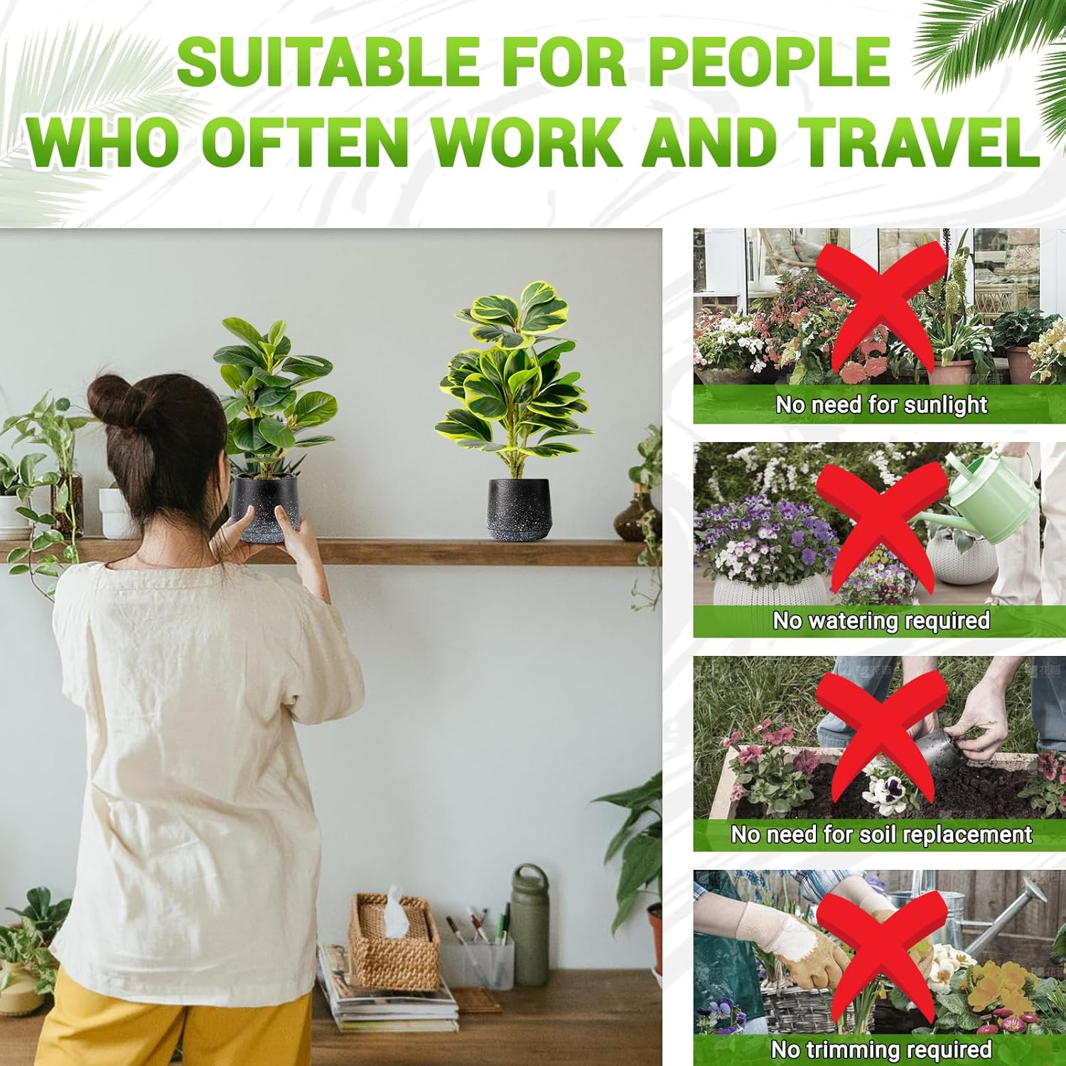 2 Pack Faux Peperomia Plants in Pots – 11" Small Artificial Greenery, Evergreen & Maintenance-Free for Home or Office
