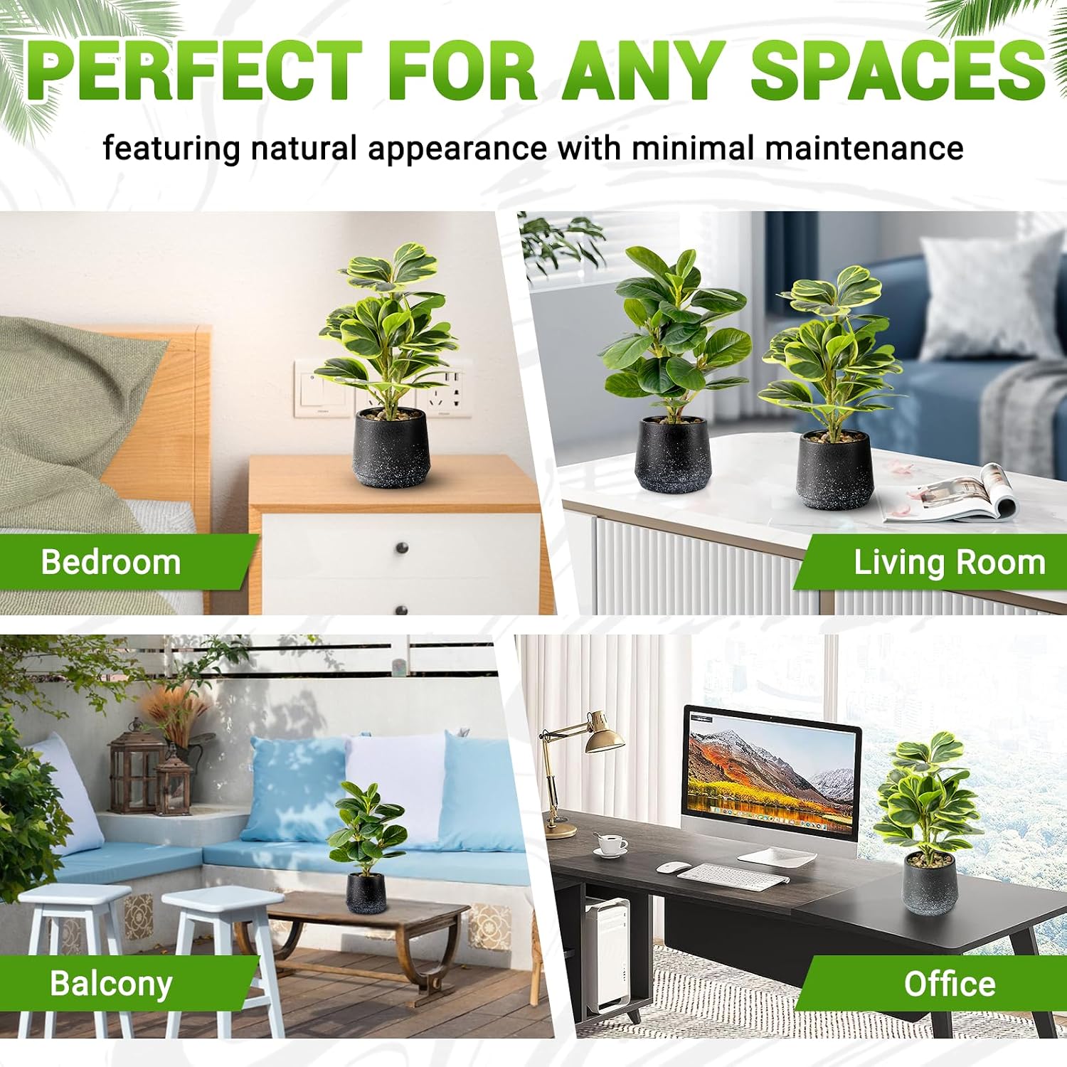 2 Pack Faux Peperomia Plants in Pots – 11" Small Artificial Greenery, Evergreen & Maintenance-Free for Home or Office