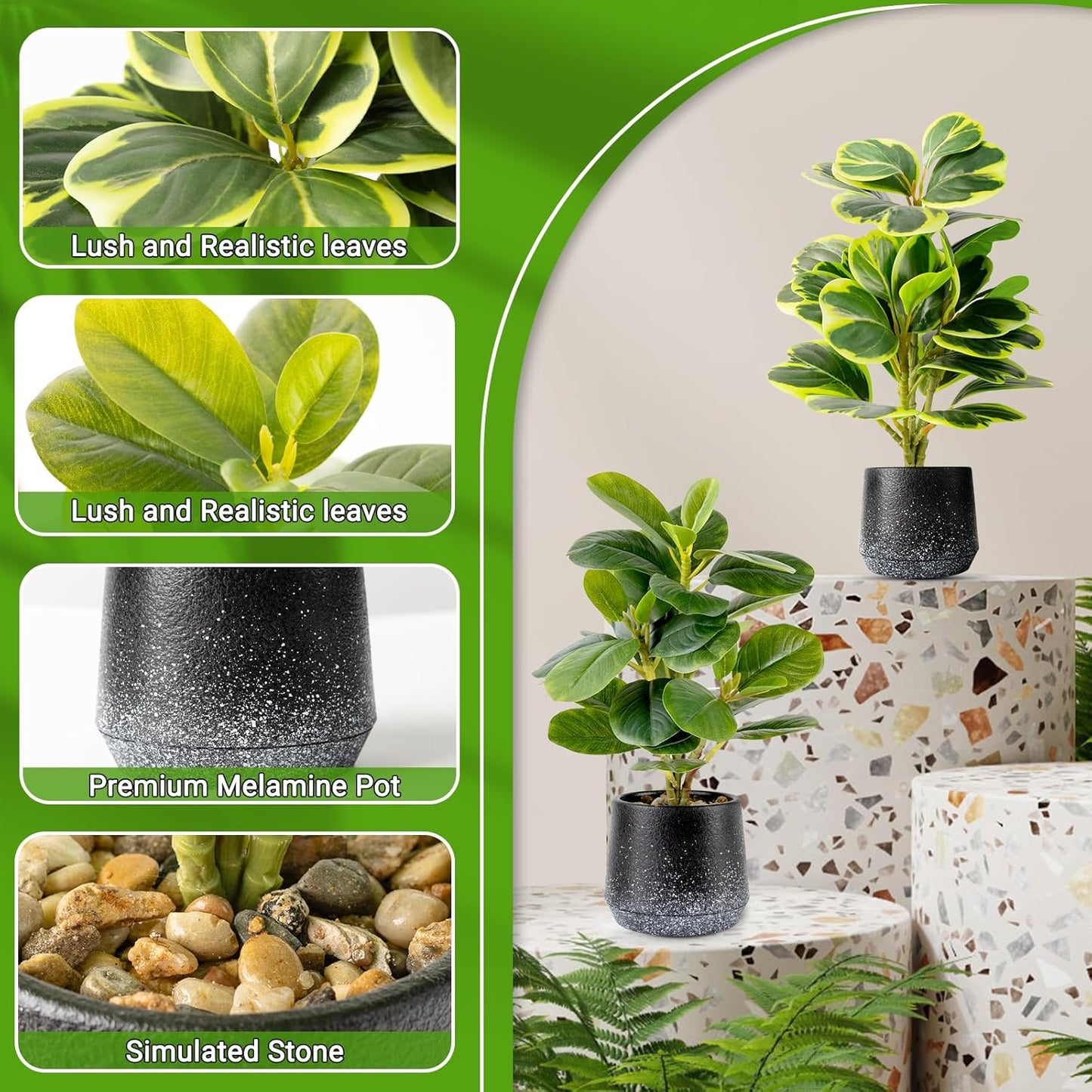 2 Pack Faux Peperomia Plants in Pots – 11" Small Artificial Greenery, Evergreen & Maintenance-Free for Home or Office